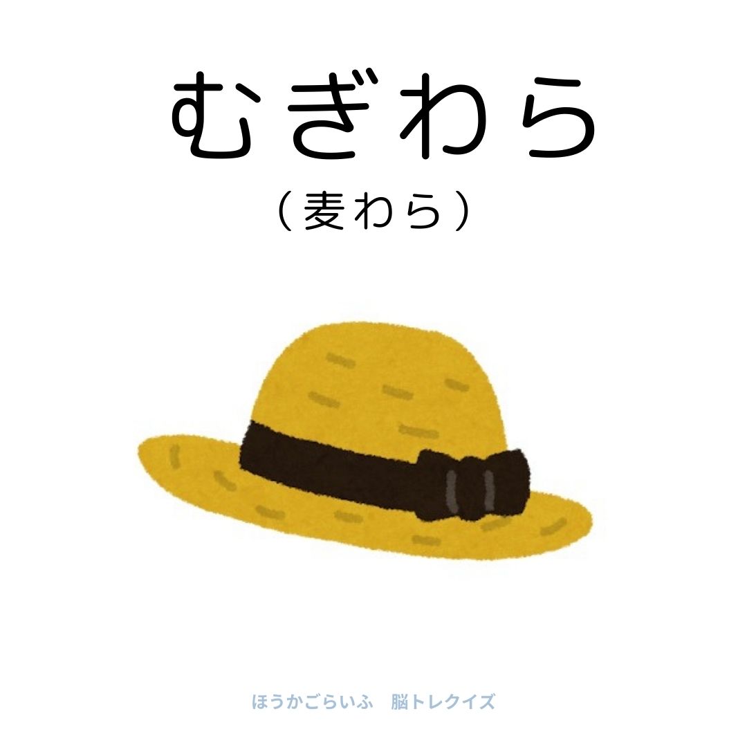 高齢者向け（無料）言葉の並び替えで脳トレしよう！文字（ひらがな）を並び替える簡単なゲーム【夏】